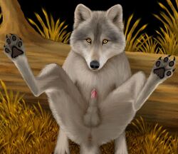 canine color ebon_lupus fur furry male male_only realism solo wolf