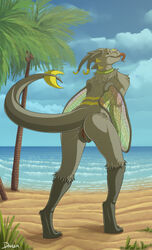 ass beach danza dragon dragonfly female horn hybrid island looking_back nude pussy reptile scalie seaside tongue tongue_out tree uncensored water wings wood