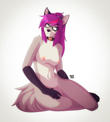 2017 anthro breasts canine collar eyewear female fur furry glasses grey_fur mammal marblesoda nipples nude purple_hair pussy simple_background solo syrth white_background