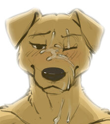 1boy anthro blush canine cum face gay labrador male male_only meesh solo travis_(meesh) white_background