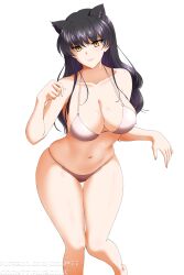 blake belladonna from rwby by kimmy77