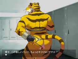 anthro ass build_tiger feline fur furry gamma_dh gamma_g male male_only mooning thong tiger