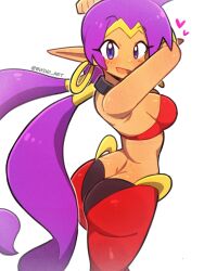 shantae (character) from shantae by bushii