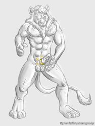 aggrobadger anthro balls barbs cock_ring erection feline feline_penis fur furry glass lion male male_only muscles nude penis sculpture solo statue transformation