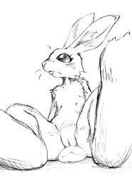 anthro black_and_white buckteeth female fur jetcrow lagomorph looking_away monochrome plain_background pussy rabbit sitting sketch solo spread_legs spreading white_background