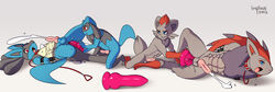 anal anthro collar cum dildo feral furry gay impious leash lucario male nintendo no_humans penis pokemon pokemon_(species) riolu sex_toy zoroark zorua