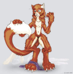 anthro breasts claws clothing digitigrade feline female fur furry gloves hair kira nipples nolaf nose nude paws plain_background red_hair shirt smile transformation whiskers