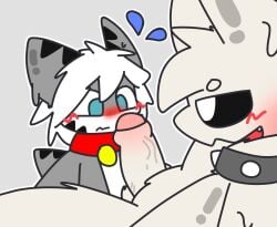 2boys animal_ears blush changed_(video_game) collar flufpan fur furry gay goo_creature imminent_oral imminent_sex penis shark shy squid_dog_(changed) tagme tiger_shark tiger_shark_(changed) white_hair