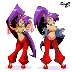 accurate_art_style blue_eyes breasts exposed_breasts female female_only purple_hair rotzedust shantae shantae_(character) standing wayforward