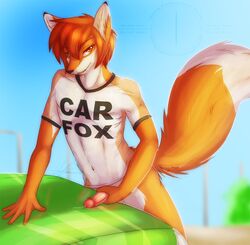 1boy anthro balls canine car car_fox carfax cum fox fur furry hair male male_only masturbation penis solo wing-of-chaos