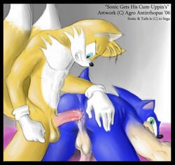 agroalba anthro bed canine cum cum_in_ass cum_inside cumshot doggy_style fox from_behind fur furry hedgehog male male_only multiple_males multiple_tails orgasm sega sonic_(series) sonic_the_hedgehog sonic_the_hedgehog_(series) sonic_the_hedgehog_2 tails yaoi