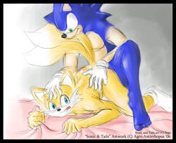 agroalba anthro bed canine cum cum_in_ass cum_inside cumshot doggy_style fox from_behind fur furry hedgehog male male_only multiple_males multiple_tails orgasm sega socks sonic_(series) sonic_the_hedgehog sonic_the_hedgehog_(series) sonic_the_hedgehog_2 tails yaoi