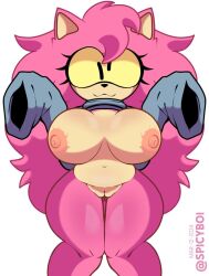 anthro bottomless bottomless_female breasts breasts_out clothes_lift curvy_female cute eimy eimy_(rabbitseasonart) eyelashes female furry furry_female hedgehog large_breasts long_hair mammal mammal_humanoid naked naked_female nipples oc original_character pink_body pink_hair pussy silly_face sleeves_past_fingers solo sonic.exe sonic.exe_(series) spicyboi standing thick_thighs topwear very_long_hair