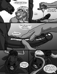 big_penis bovine bull comic feline furry gay lion lube male no_humans penis sudonym