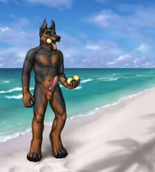 1boy 2012 anakuro anthro ball balls beach brown_eyes canine canine_penis clouds color cute day doberman erection fur furry happy innuendo knot looking_at_viewer male male_only mammal nipples nude open_mouth outdoors panting penis sand seaside sky smile solo tennis_ball tongue tongue_out water