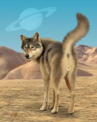 canine cyber_space_by ebon_lupus female wolf