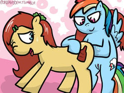 blue_eyes clitoris cutie_mark equine female fisting friendship_is_magic hair horse mane multicolored_hair my_little_pony one_closed_eye open_mouth pegasus pink_eyes pokehidden pony pussy pussy_juice rainbow_dash_(mlp) rainbow_hair red_hair sirachanotsauce straight_hair tongue tongue_out wings yuri