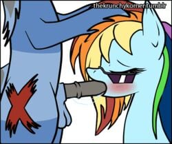 animated balls black_penis blush closed_eyes eyewear fellatio female friendship_is_magic horsecock male my_little_pony oral oral_sex penis rainbow_dash_(mlp) saliva sex straight straight_hair sunglasses thekrunchykorner