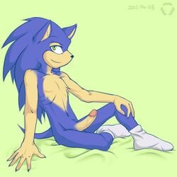 1boy 2012 blue charisma erection green_eyes hedgehog male male_only navel nude penis sega socks solo sonic_(series) sonic_the_hedgehog