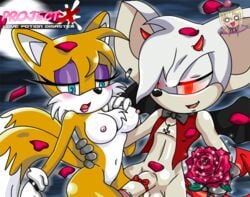 balls bat big_breasts breasts canine clothing female fox fur furry_tail hedgehog incubus_(project_x) makeup male multiple_tails nipples nopennamegirl nude penis project_x project_x_love_potion_disaster rule_63 sega sonic_(series) straight tail tails tailsko