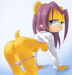 1girls all_fours archie_comics bedroom_eyes blue_eyes breasts female gradient gradient_background hoodie isabella_mongoose medium_breasts panties panties_down presenting presenting_hindquarters presenting_pussy prettypinkprincess purple_hair pussy sega simple_background solo sonic_(series) sonic_the_hedgehog_(archie) sonic_the_hedgehog_(comics) sonic_the_hedgehog_(series) underwear yellow_body yellow_fur