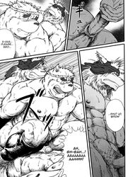 abs anal anal_sex canine comic double_penetration furry gay jin_(artist) male muscles no_humans pecs penetration threesome translated wolf