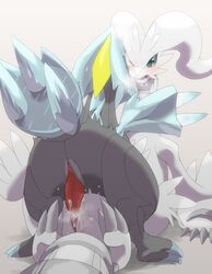 1boy 1girls cum cum_inside dragon female furry interspecies kyurem male penis pokemon pokemon_bw pussy reshiram sex straight