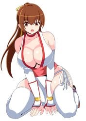 arm_guards breasts brown_eyes brown_hair cleavage curvaceous dead_or_alive female gloves huge_breasts japanese_clothes kasumi_(doa) koei_tecmo large_breasts long_hair no_bra no_panties no_underwear ponytail revealing_clothes solo tagme tecmo thighhighs wariza