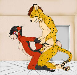 anthro breasts cheetah ear_piercing feline female from_behind fur furry hindpaw interspecies jim male nude paws penis piercing red_panda sex straight tear vanishingpoint