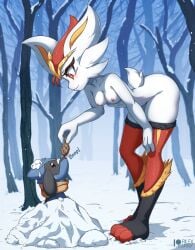 anthro cinderace furry kemono nude pokémon_(species) pokemon pokemon_(species) rilex_lenov riolu tagme white_fur