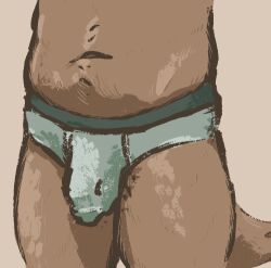 anthro belly briefs bulge canid canine clothing cumguzzler5669 detailed_bulge flaccid genital_outline genitals male male_focus male_only mammal penis penis_outline slightly_chubby solo solo_male underwear