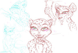 alakay_alex artist_request cheetah cum dreamworks feline female furry furry_only gia_the_jaguar jaguar lion madagascar_(series) madagascar_3_europe's_most_wanted male masturbation paramount_pictures penis sketch sucking unseen_male_face wip