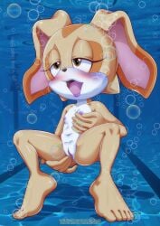 1girls asphyxiation bbmbbf cream_the_rabbit drowning female mobius_unleashed nude palcomix rabbit sega solo sonic_(series) sonic_the_hedgehog_(series) underwater