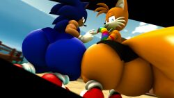 2boys 2males 3d anthro ass ass_focus big_ass big_butt bikini_bottom black_panties blue_panties bubble_ass bubble_butt butt_focus doppoarts femboy fox furry hedgehog huge_ass huge_butt looking_at_viewer looking_back miles_tails_prower panties sega sonic_(series) sonic_the_hedgehog sonic_the_hedgehog_(series) squatting tails tails_the_fox