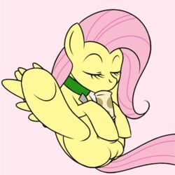 animated autofellatio balls closed_eyes collar equine fellatio feral fluttershy_(mlp) friendship_is_magic futanari intersex kloudmutt masturbation my_little_pony oral pegasus penis pony solo wing_boner wings