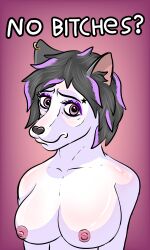 big_breasts breasts female female_only flashing_breasts fur furry furry_breasts furry_female fursona keila lilkeylawest meme meme_reference no_bitches?_(meme) oc original_character purple_hair thefuckingkeylist wolf wolf_humanoid