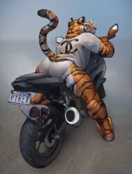 2016 5_fingers anthro anthro_only ass_focus barefoot big_ass briefs chains chanel feline furry gay gold_jewelry gold_sunglasses graphic_tee hi_res high_resolution jewelry leaning_forward leaning_on_object looking_at_viewer looking_back looking_back_at_viewer male male_focus male_only motorcycle motorcycle_position necklace pawpads paws posing presenting_ass presenting_hindquarters solo solo_focus striped_fur striped_tail stripes sunglasses tacklebox tail thick_ass thick_thighs thighs tiger tiger_stripes underwear versace