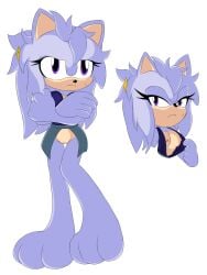 j_nsfw original_character sonic_(series) sonic_oc sonic_the_hedgehog_(series) violet_fur