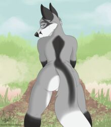 animated anthro anus ass canid canine female fox frame_by_frame furry genitals kelevra kwik_(artist) mammal pussy short_playtime solo