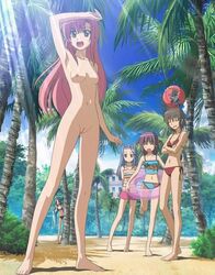 5girls asakaze_risa ball barefoot beach bikini brown_hair female hanabishi_miki hayate_no_gotoku! katsura_hinagiku katsura_yukiji long_hair multiple_girls nude nude_filter palm_tree pink_hair purple_hair pussy sand segawa_izumi shorts smile standing swimsuit uncensored zenra