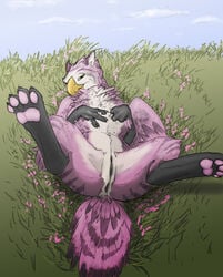 anthro anus avian beak feathers female feral gryphon inviting looking_at_viewer morca nude pinup presenting pussy seductive solo