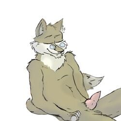 1boy anthro balls canine closed_eyes cookiekangaroo eyewear fox fur furry glasses male male_only nude penis solo