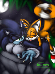 sonic the werehog from sega by pherociouseso