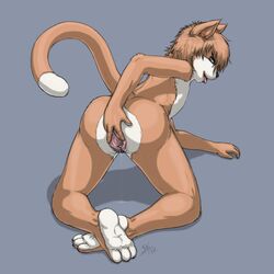 anthro ass blue_eyes brown_fur clitoris cuntboy edit feline fur furry hindpaw intersex looking_at_viewer nude paws presenting pussy pussy_juice solo spread_pussy spreading tongue wet yellowpower