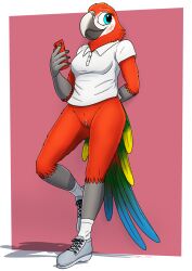 absurd_res anthro avian bird bottomless bottomless_female breasts clothed clothing female fish_birb footwear fully_clothed genitals hi_res macaw medium_breasts neotropical_parrot parrot polo_shirt pussy samantha_(fish_birb) shirt shoes solo topwear true_parrot