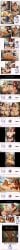 1boy 2girls abs ai_generated apron ass big_ass big_breasts big_penis blonde_female blonde_hair blue_eyes breasts breasts_bigger_than_head comic comic_panel comic_strip ezreal fat_ass garen_crownguard gigantic_ass gigantic_breasts green_eyes huge_ass huge_breasts huge_cock katarina_du_couteau league_of_legends long_hair long_sleeves luxanna_crownguard massive_ass massive_breasts muscular penis plump plump_ass red_bikini red_hair sarong seductive seductive_look selfie shocked short_jeans slutty_female surprised sweaty sweaty_ass sweaty_body tagme thick_ass thick_thighs thighs thong voluptuous voluptuous_female white_bikini