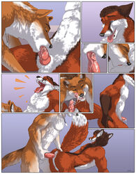 2013 abs all_fours anal anal_insertion anal_sex anthro anus ass balls biceps blue_eyes brown_eyes canine canine_penis chipfox comic couple cum dadingo dingo fellatio fox fur furry gay insertion inside knot male muscles necklace no_humans nude open_mouth oral oral_sex orgasm paws pecs penetration penis sabretoothed_ermine saliva sequence sex sheath tongue transformation