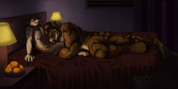 anthro bed canine closed_eyes couple cum feline fellatio fur furry gay hindpaw knot male nude on_bed oral oral_sex orange paws penis sex sexmuffin size_difference tiger wolf