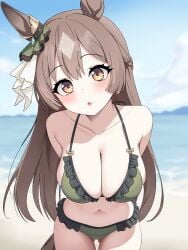 absurdres animal_ears arms_behind_back bare_shoulders beach bikini blue_sky blush braid breasts brown_eyes brown_hair cloud collarbone double-parted_bangs ear_ornament female gluteal_fold green_bikini hair_between_eyes half_up_braid half_updo highres horse_ears horse_girl horse_tail large_breasts long_hair looking_at_viewer multicolored_hair ocean open_mouth outdoors parted_lips satono_diamond_(umamusume) sky solo streaked_hair swimsuit tail umamusume very_long_hair water zhanderlul