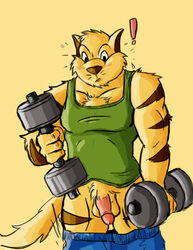 anthro balls biceps blush body_markings chance_furlong chest_tuft clothing fur furry lowemond male male_only markings muscles pants pants_down pecs penis presenting sheath shirt standing stripes swat_kats tuft vest weightlifting weights